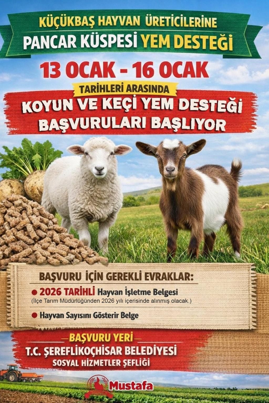 Koyun ve Keçi Yem Desteği Başvuruları Başlıyor