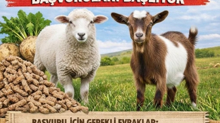 Koyun ve Keçi Yem Desteği Başvuruları Başlıyor
