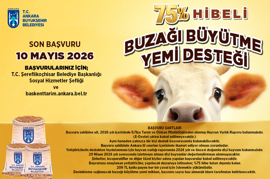 Buzağı Büyütme Yemi Desteği başvuruları devam ediyor