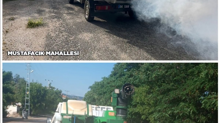 Cuma Günü 19 Haziran ait ilaçlamadan