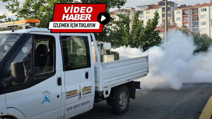 Kapsamlı ilaçlama çalışmalarımıza kararlılıkla devam ediyoruz