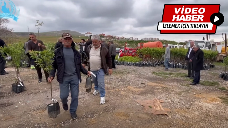 Meyve fidanlarımızı üreticilerimize ulaştırdık