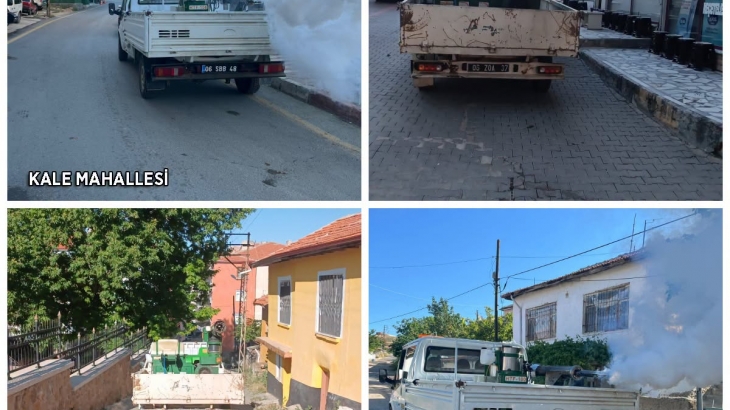 Pazartesi günü 22 Haziran ait ilaçlamadan